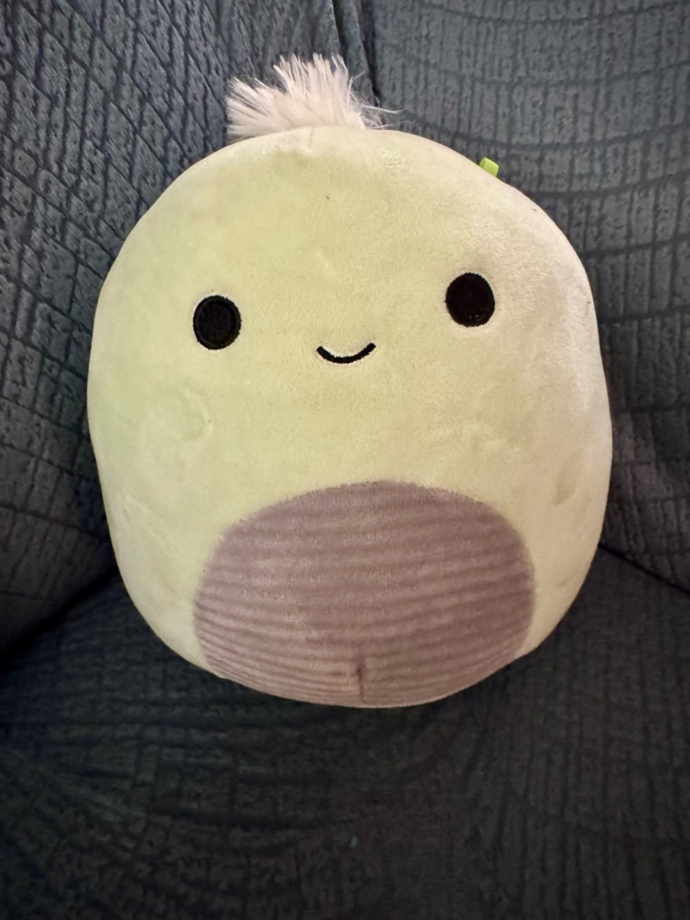 Herb the Turtle squishmallow